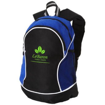 Boomerang ryggsekk 22L