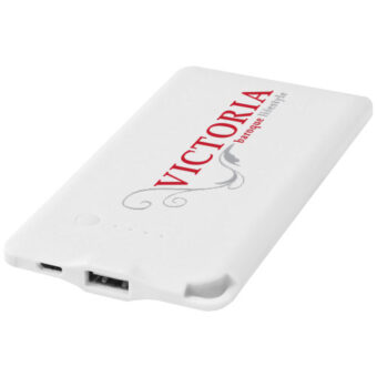 WS119 4000 mAh mobillader