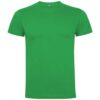 Variation picture for Irish Green