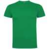 Variation picture for Tropical Green
