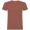 Variation picture for Brick red