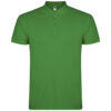 Variation picture for Tropical Green