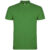 Tropical Green