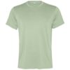 Variation picture for Mist Green