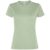 Mist Green