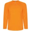 Variation picture for Fluor Orange
