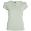 Variation picture for Mist Green