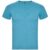 Heather Turquoise