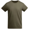 Variation picture for Militar Green