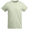 Variation picture for Mist Green