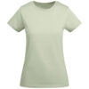 Variation picture for Mist Green